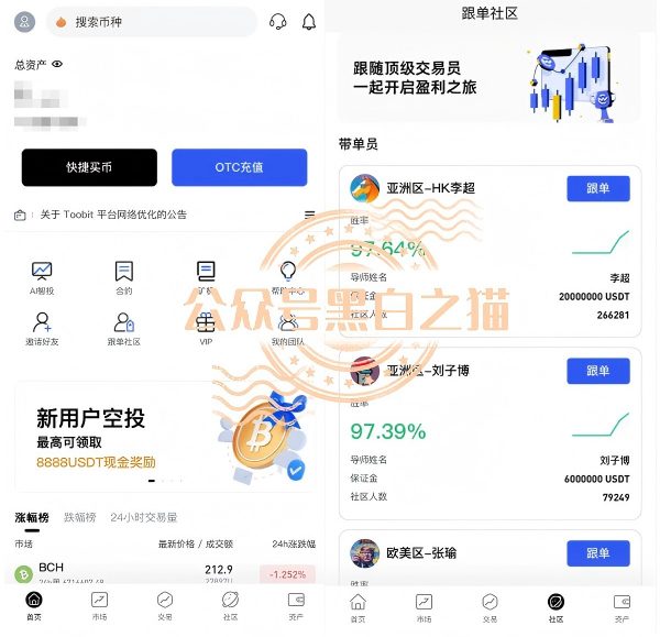 原文相关图片6