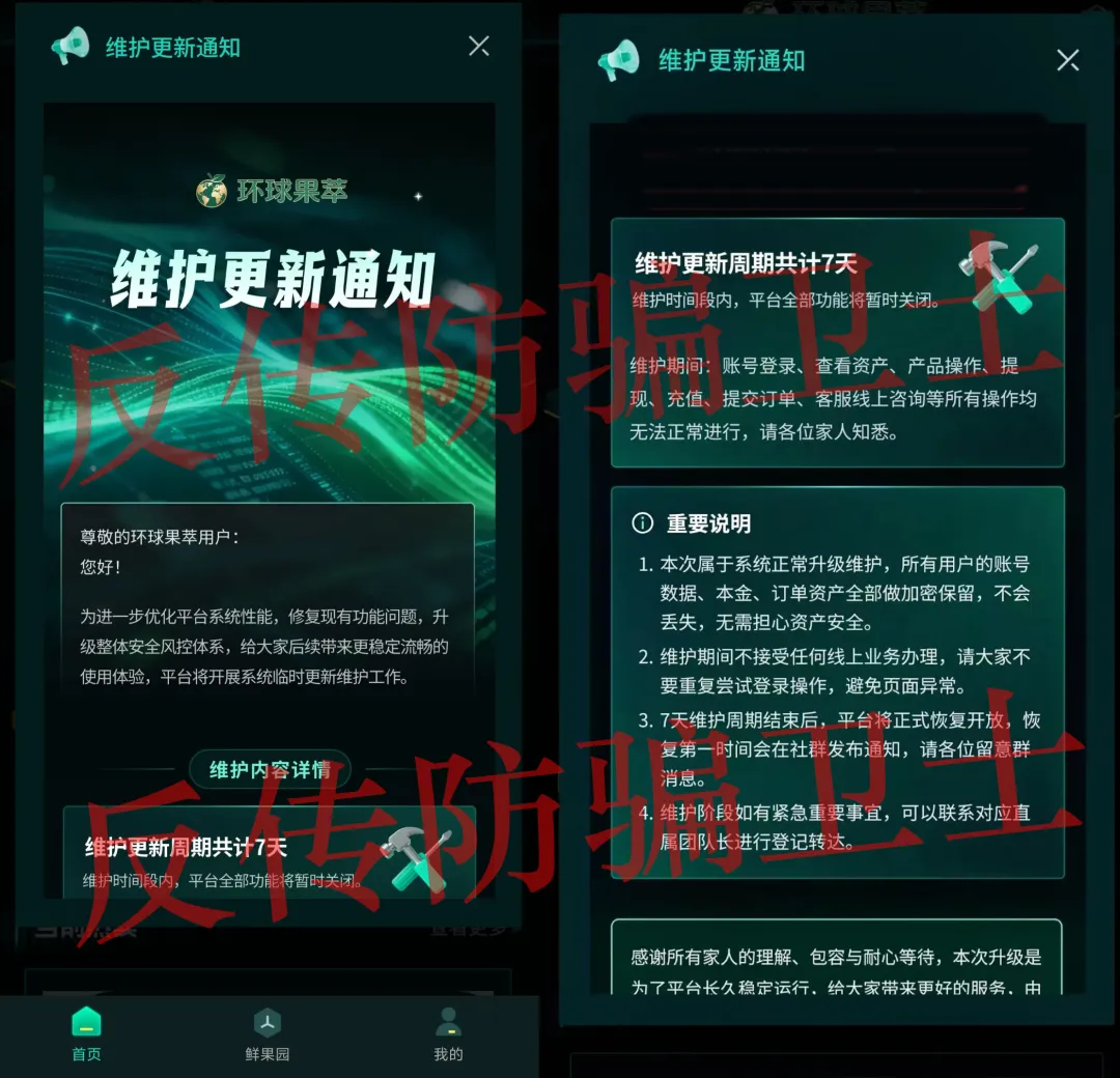 原文相关图片7