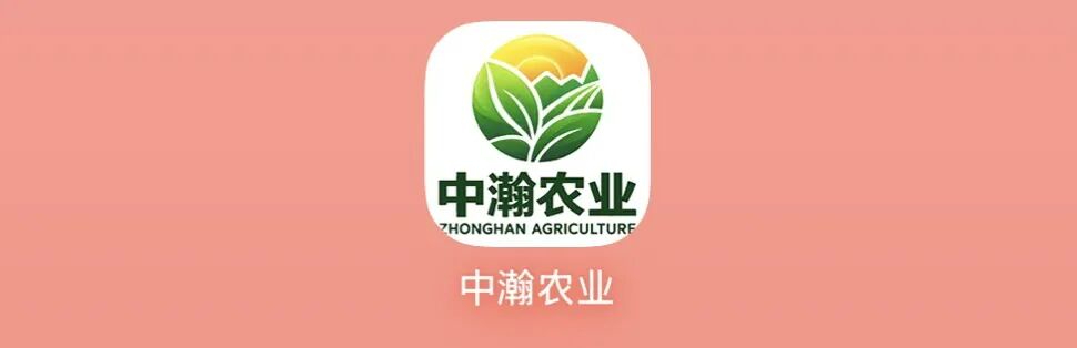 原文相关图片1
